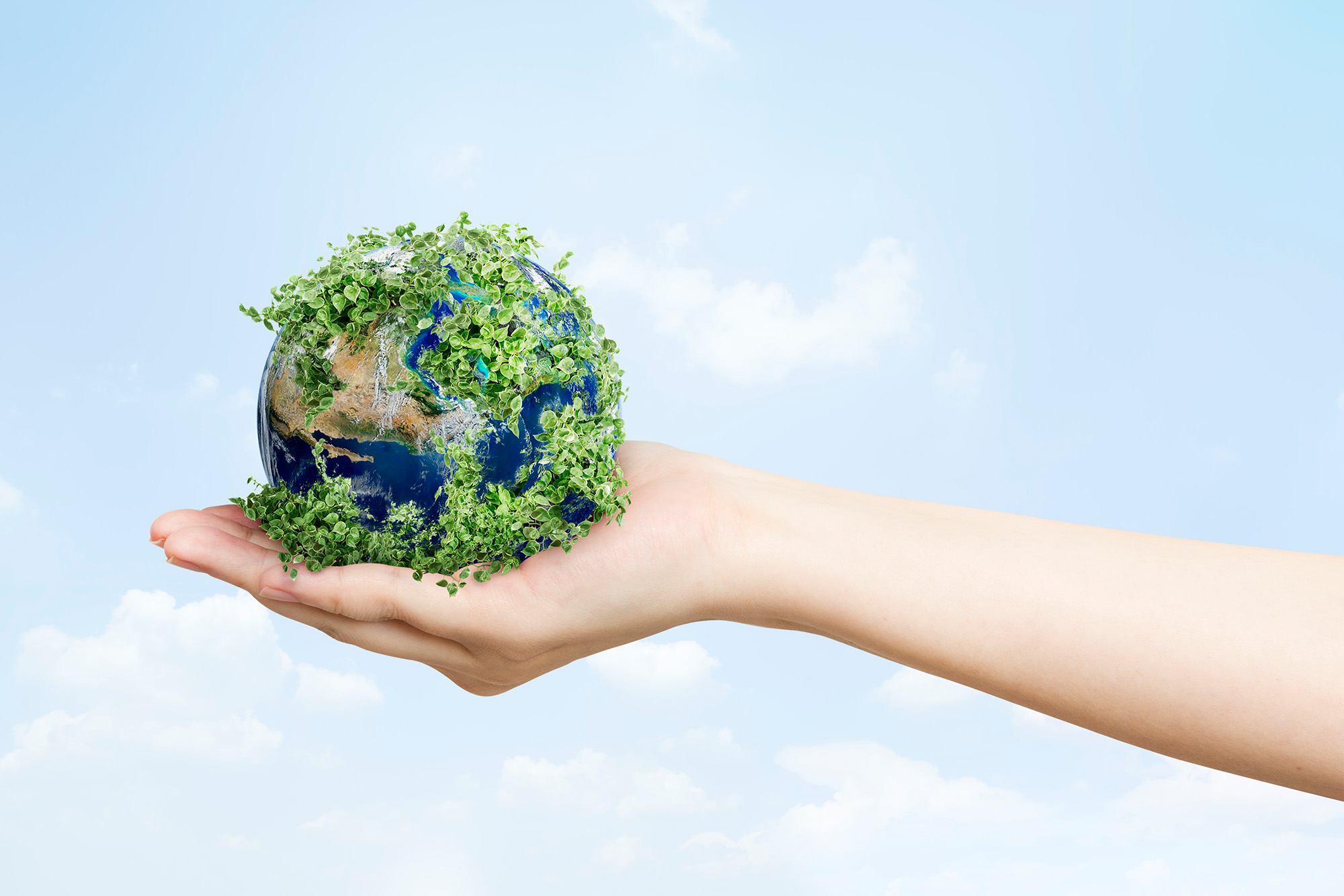Ecorosi Ambiente S.r.l. - Noleggio e Vendita Mezzi, Gestione Rifiuti